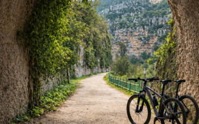 FROM THE ANAPO VALLEY TO FERLA