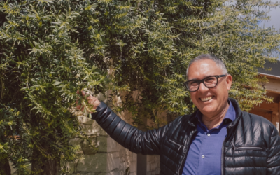 OLIVE OIL TASTING WITH ENZO